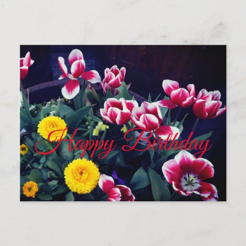 Happy Birthday Spring Flowers 4 Postcard