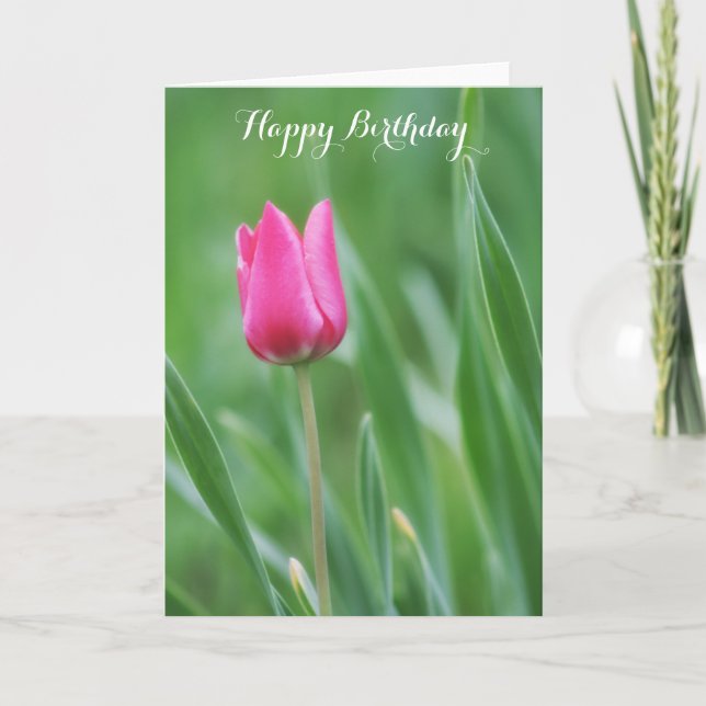 Happy Birthday, Spring Pink Tulip Flower Card (Front)