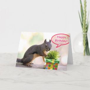 Happy Birthday Squirrel Card