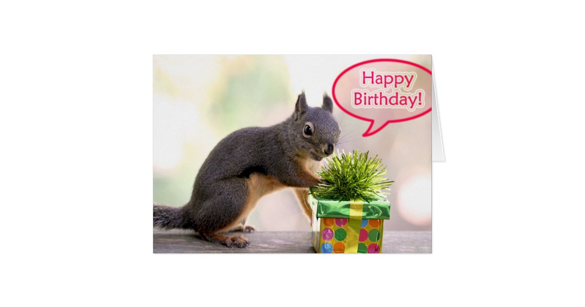 Happy Birthday Squirrel Card | Zazzle