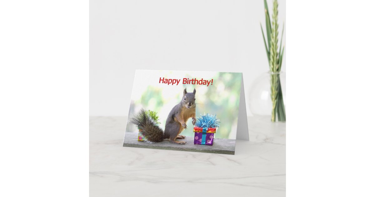 Happy Birthday Squirrel Card | Zazzle