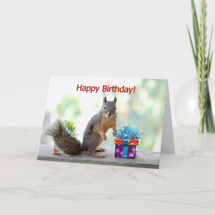 Happy Birthday Squirrel Card | Zazzle