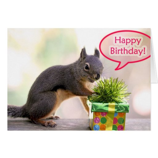 Happy Birthday Squirrel Greeting Card | Zazzle