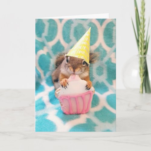 Happy Birthday, squirrel friend.