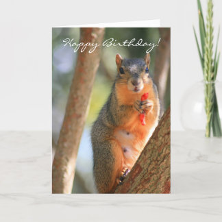 Happy Birthday squirrel greeting card