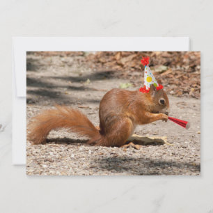 Happy Birthday Squirrel Invitation