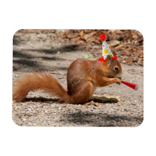 Happy Birthday Squirrel Magnet