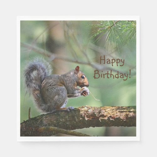 Happy Birthday Squirrel Napkins