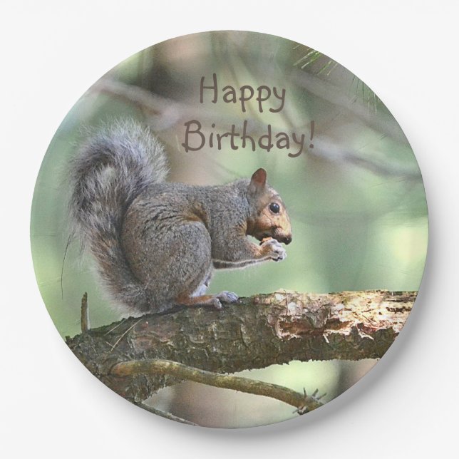 Happy Birthday Squirrel Paper Plates (Front)