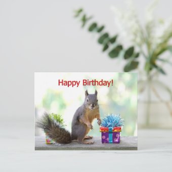 Happy Birthday Squirrel Postcard | Zazzle