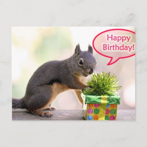 Happy Birthday Squirrel Postcard