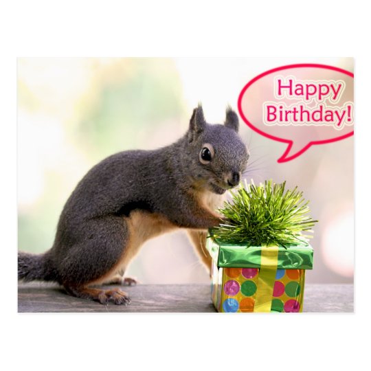 happy birthday squirrel