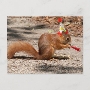 Happy Birthday Squirrel Postcard
