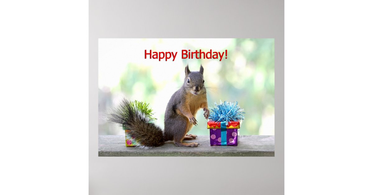 Happy Birthday Squirrel Poster | Zazzle