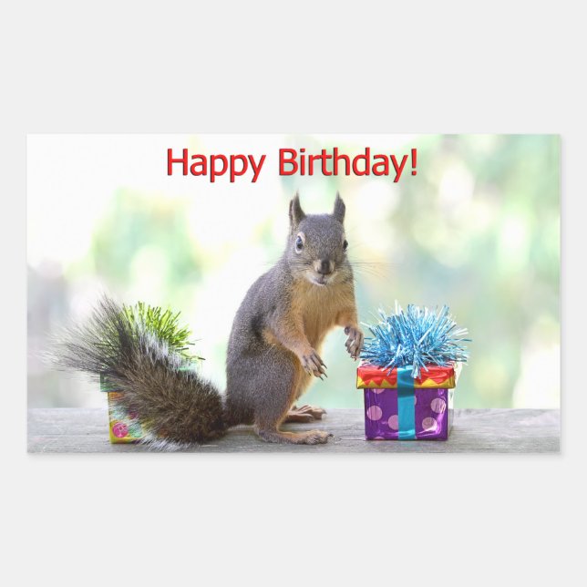 Happy Birthday Squirrel Rectangular Sticker (Front)