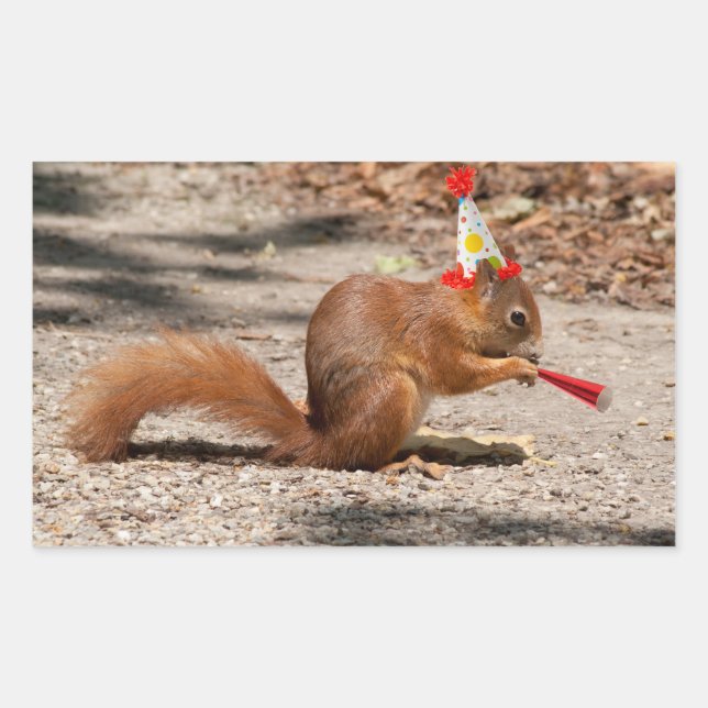 Happy Birthday Squirrel Rectangular Sticker (Front)