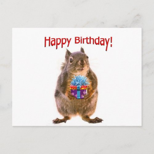 Happy Birthday Squirrel with Present Postcard