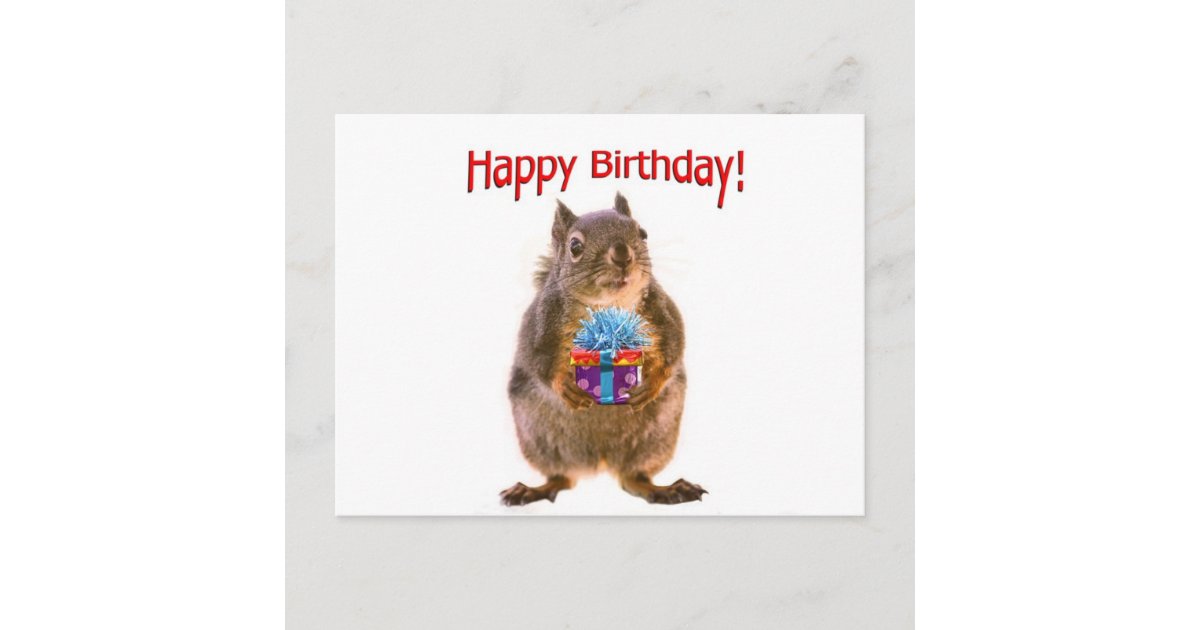 Happy Birthday Squirrel with Present Postcard | Zazzle