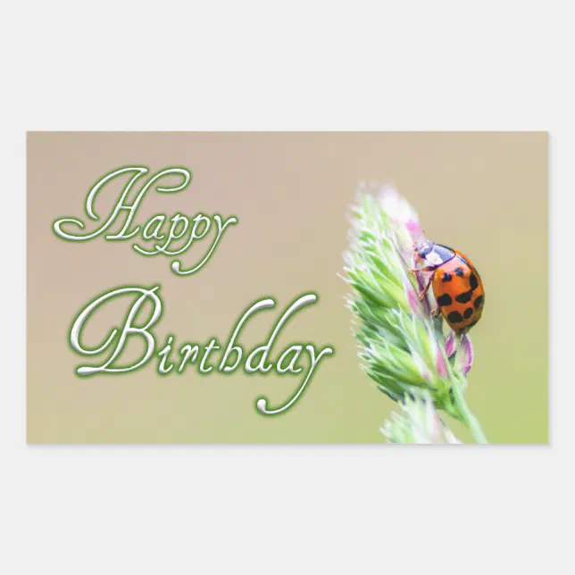 Happy Birthday stickers with a ladybug! | Zazzle