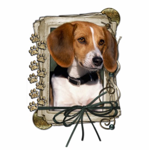 Happy Birthday _ Stone Paws _ Beagle Cutout