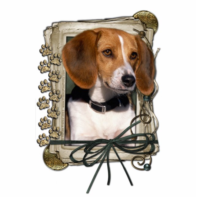 Happy Birthday - Stone Paws - Beagle Cutout (Front)