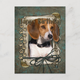 Happy Birthday - Stone Paws - Beagle Postcard
