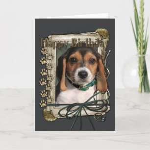 Happy Birthday - Stone Paws - Beagle Puppy Card