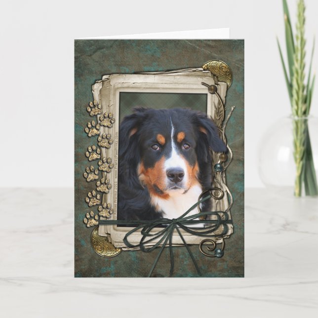Happy Birthday - Stone Paws - Bernese Mountain Dog Card (Front)