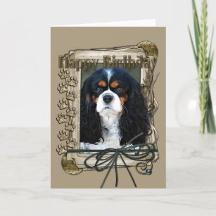 Cavalier King Charles Spaniel Birthday Cards Zazzle