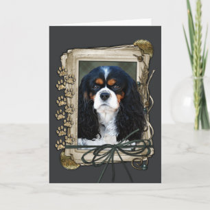 Happy Birthday - Stone Paws - Cavalier Card