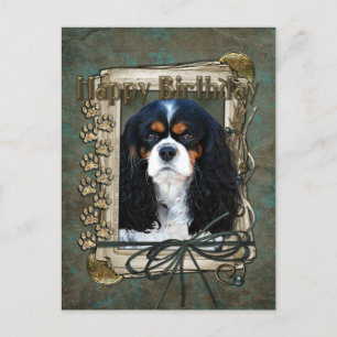 Happy Birthday - Stone Paws - Cavalier Postcard