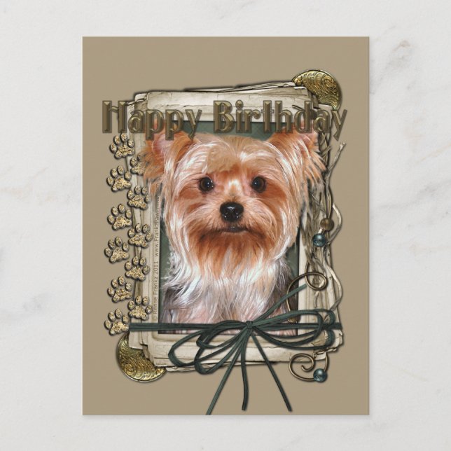 Happy Birthday - Stone Paws - Yorkshire Terrier Postcard (Front)