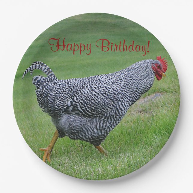 Happy Birthday Strolling Chicken Paper Plates (Front)