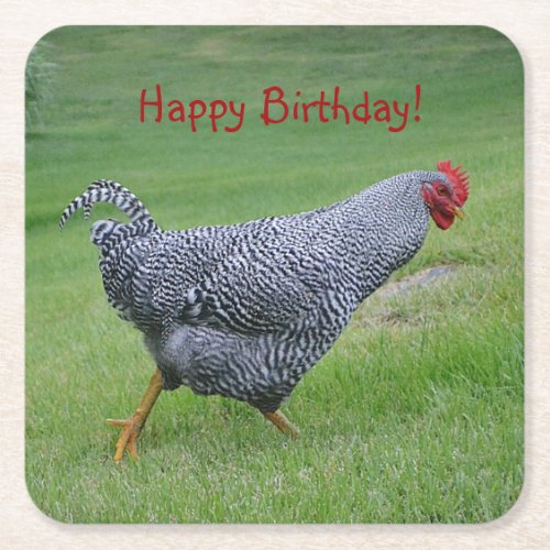 Happy Birthday Strolling Chicken Square Paper Coaster
