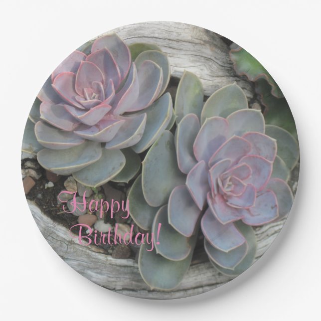 Happy Birthday Succulent Paper Plates (Front)
