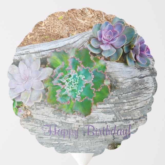 Happy Birthday Succulents On Driftwood Balloon (Front)