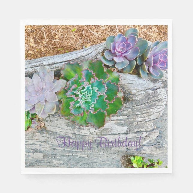 Happy Birthday Succulents On Driftwood Napkins (Front)