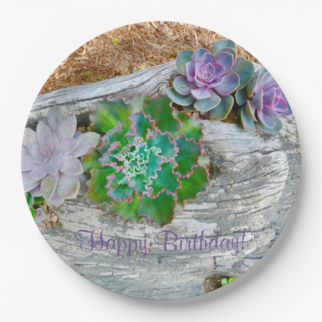 Happy Birthday Succulents On Driftwood Paper Plates (Front)