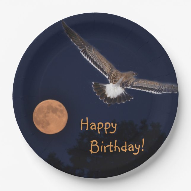 Happy Birthday Summer Moon Paper Plates (Front)