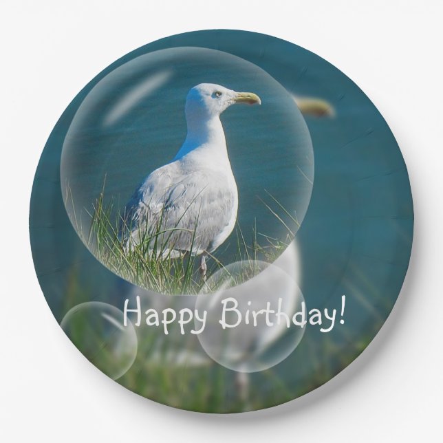 Happy Birthday Summer Seagull Paper Plates (Front)