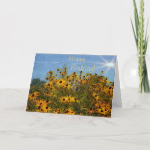 Happy Birthday Summertime Black-Eyeed-Susans Card