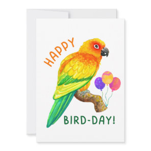 Happy Birthday Sun Conure Parrot Bird Lover Holiday Card