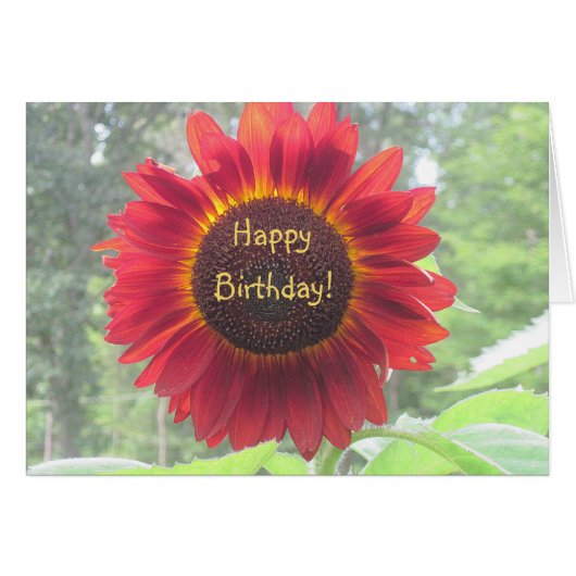 Happy Birthday Sunflower Cards (Front Horizontal)