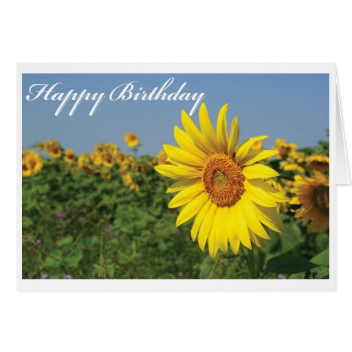 Happy Birthday Sunflower Cards | Zazzle