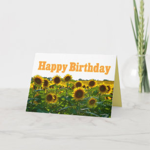 Happy Birthday Sunflower Field Card