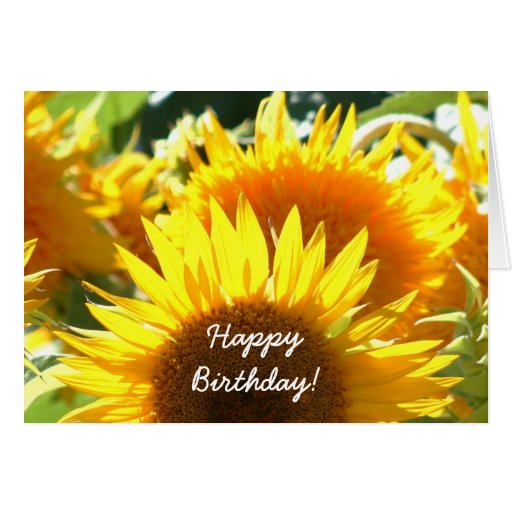 Happy Birthday Sunflowers greeting card | Zazzle