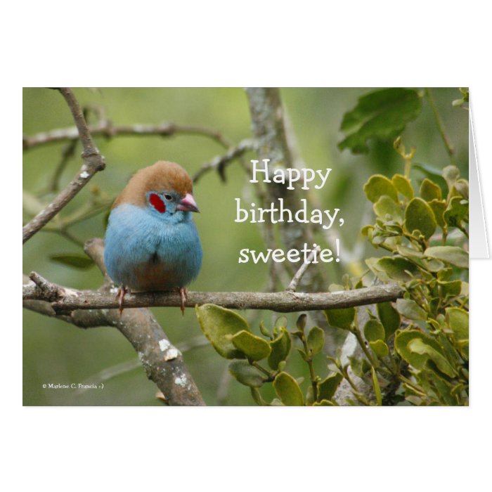 Happy Birthday, Sweetie Greeting Card