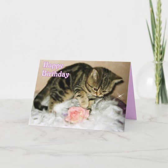 Happy Birthday - Tabby Kitten Birthday card | Zazzle.com