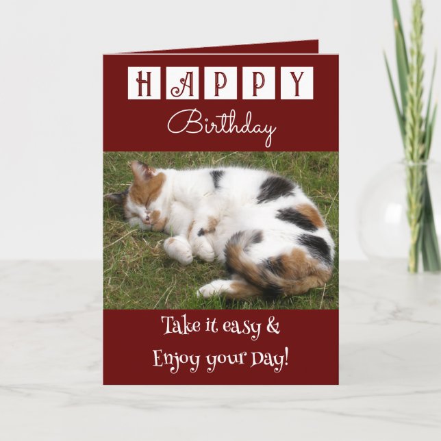 Happy Birthday take it easy cat photo burgundy Card (Front)
