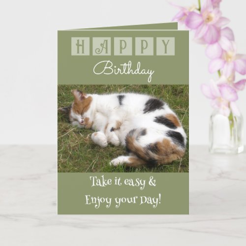 Happy Birthday take it easy cat photo green Card